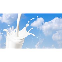 Lakeland Milk - Semi Skimmed