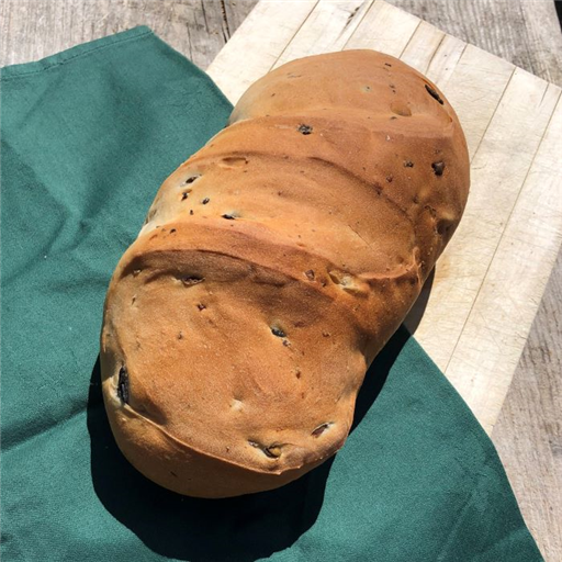 Black and Green Olive Bloomer