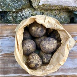 Cumbrian Potatoes (Unwashed)