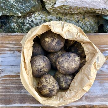 Cumbrian New Potatoes (Unwashed)