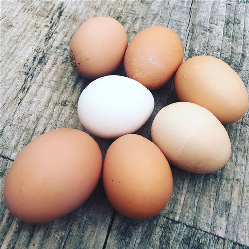 12 x South Lakeland Free Range Eggs - Large